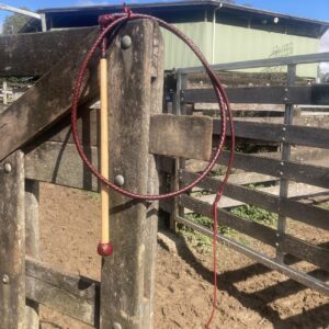 Stock Whips - Red Cow hide
