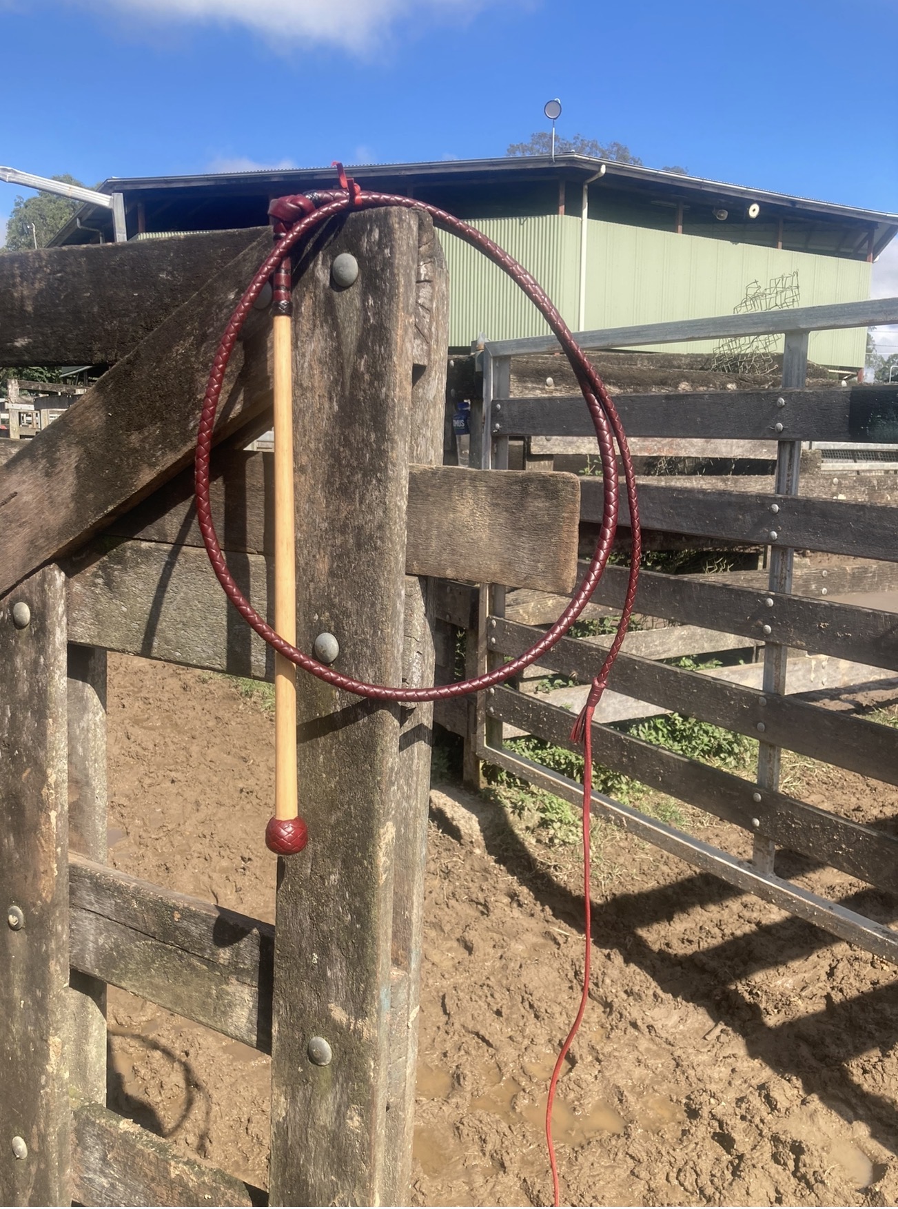 Stock Whips - Red Cow hide