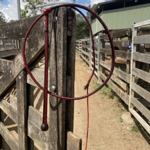 Stock Whips - Kangaroo Hide